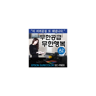 엡손 포토프린터 SureColor SP-800 듀라핌 9색 무한잉크공급기